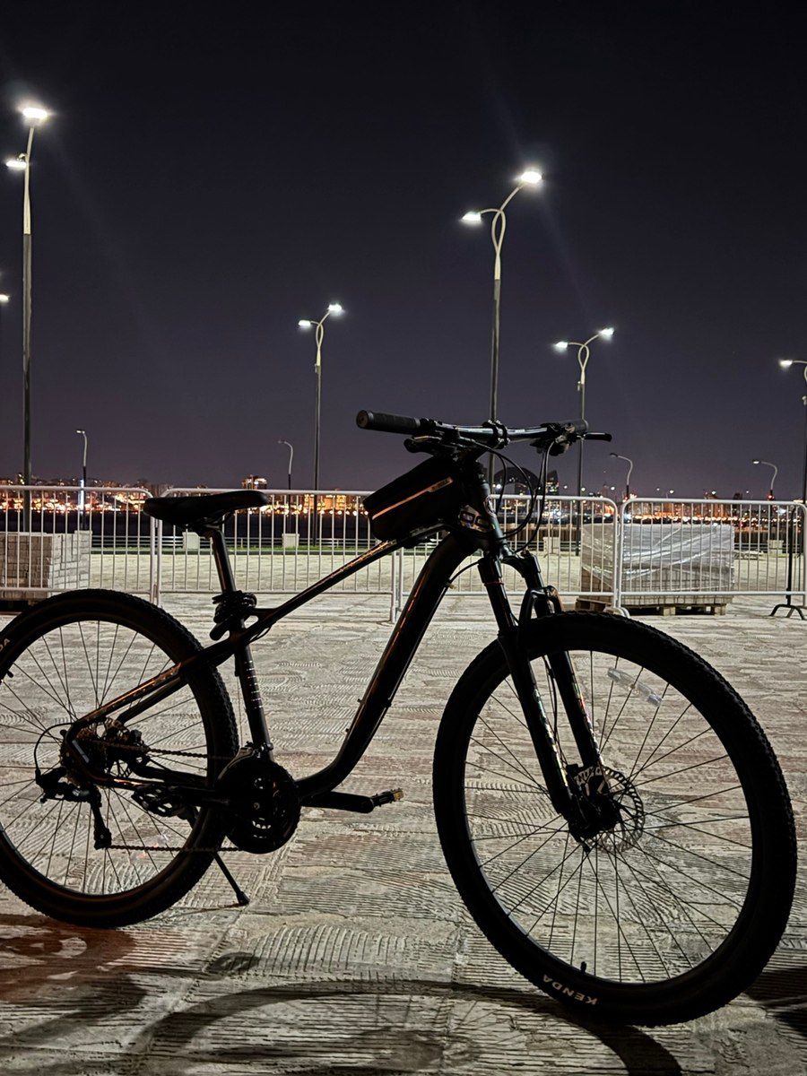 Velosiped Goose — Velosipedlər, Bakı (3)