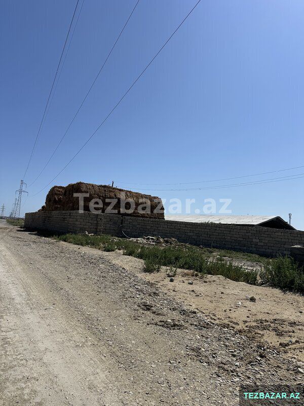 4-hektar Torpaq — Torpaq, Bakı (6)