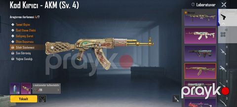 Pubg Mobile hesabında yüksəldilə bilən nadir silah dizaynları və — Lənkəran