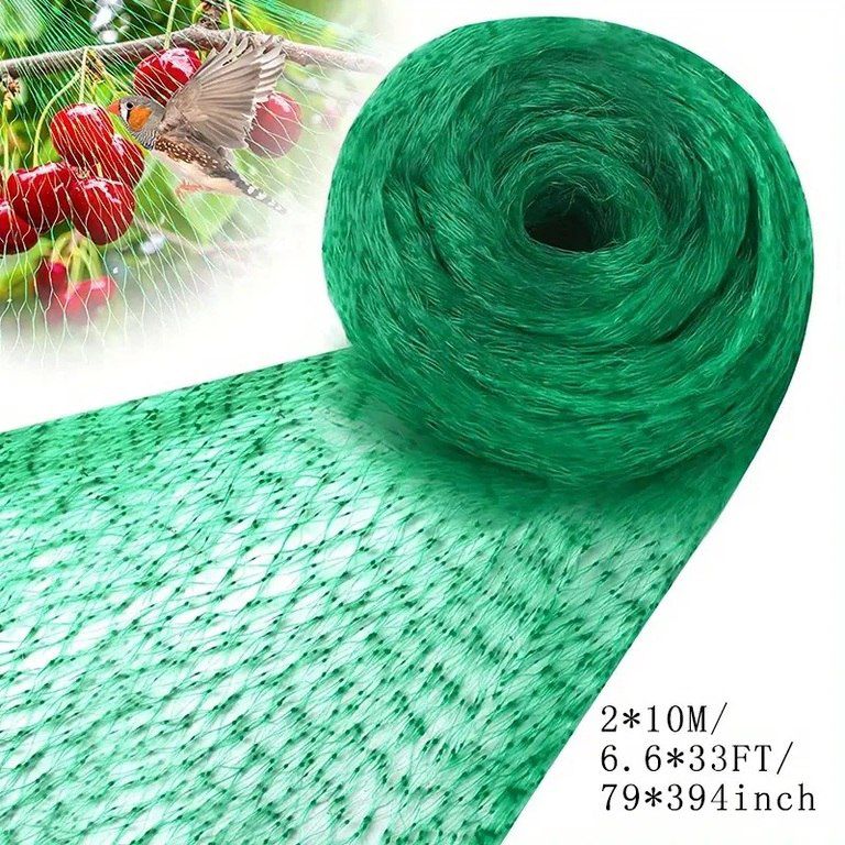 Bitkiləri qoruma torları — Bitkilər, Bakı (9)