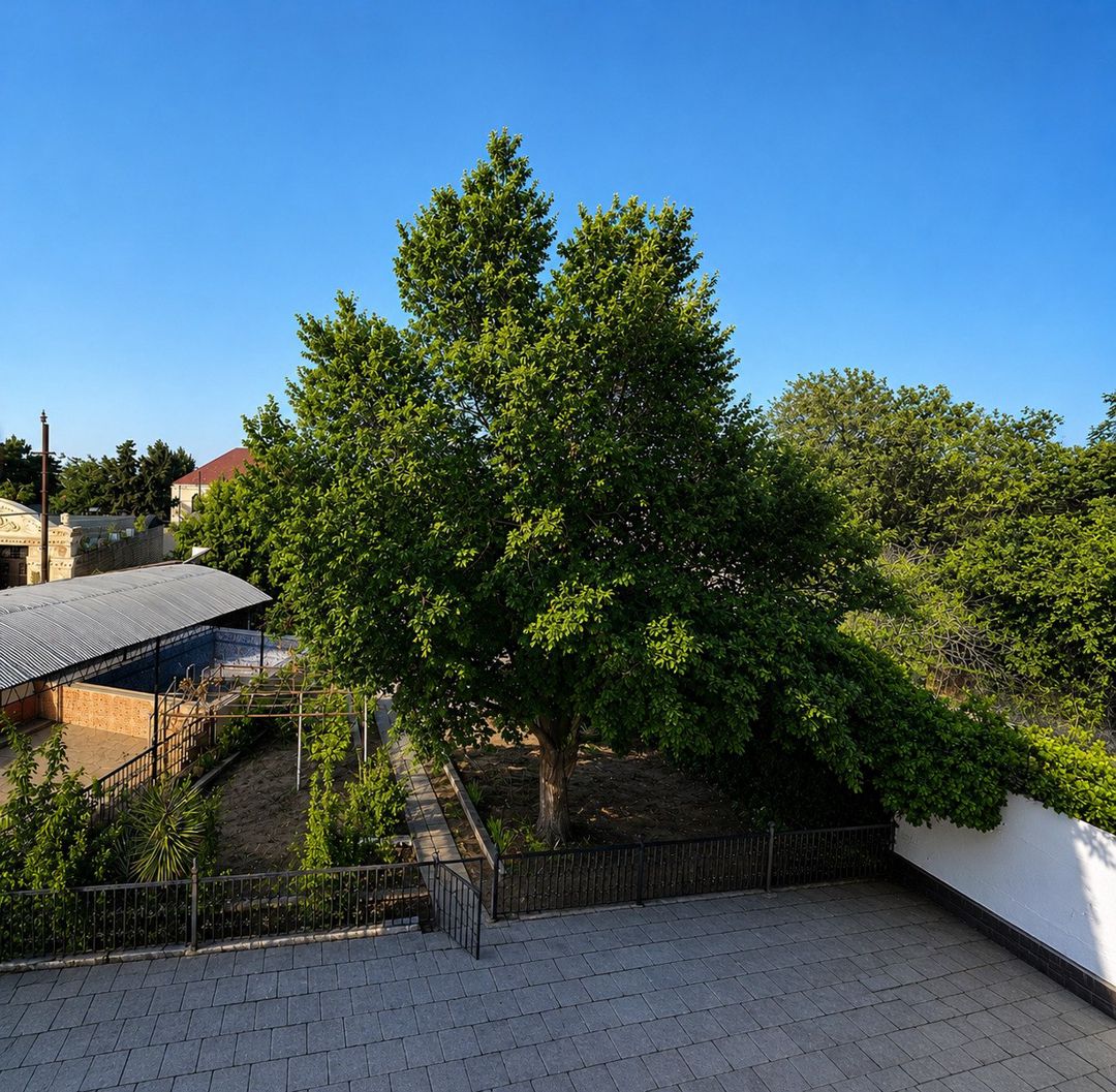 İcarəyə verilir 5 otaqlı həyət evi/bağ evi 220 m² — Ev, villa, Bakı (4)