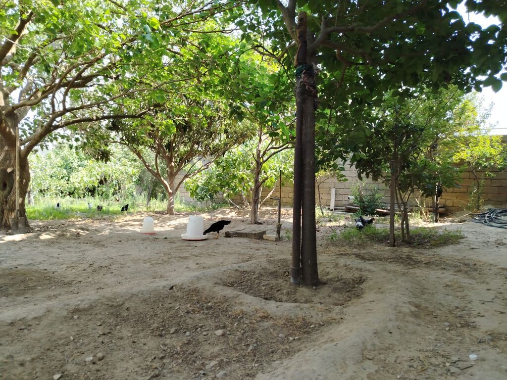 5 otaqlı, 160 kv. m — Ev, villa, Fatmayı (4)