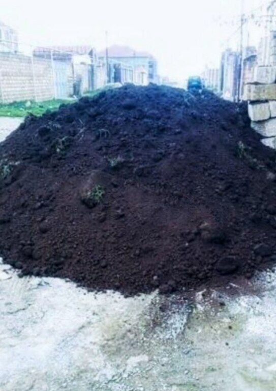 Qara torpaq — Dacha və bağ, Bakı (8)