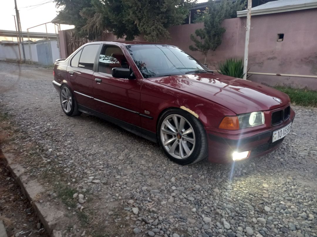 BMW 318, 1995 il — Avtomobillər, Biləsuvar (3)