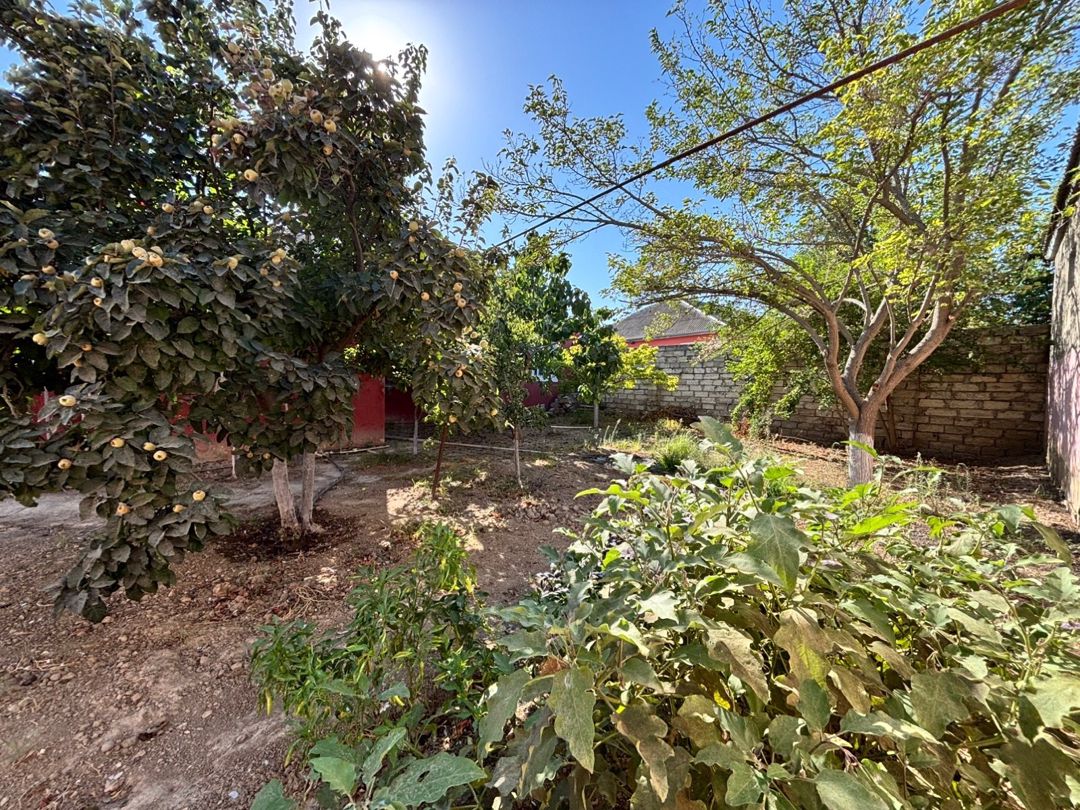 Həyət evi, Mərdəkan qəs — Ev, villa, Bakı (11)