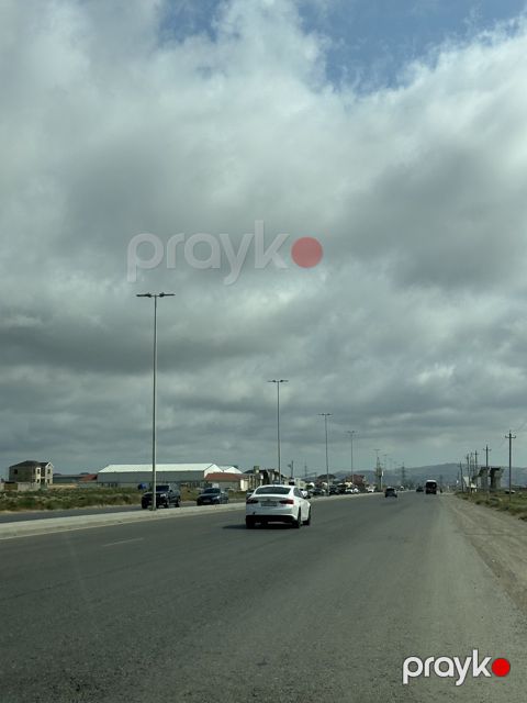 51.5 sot torpaq sahəsi, Saray qəs