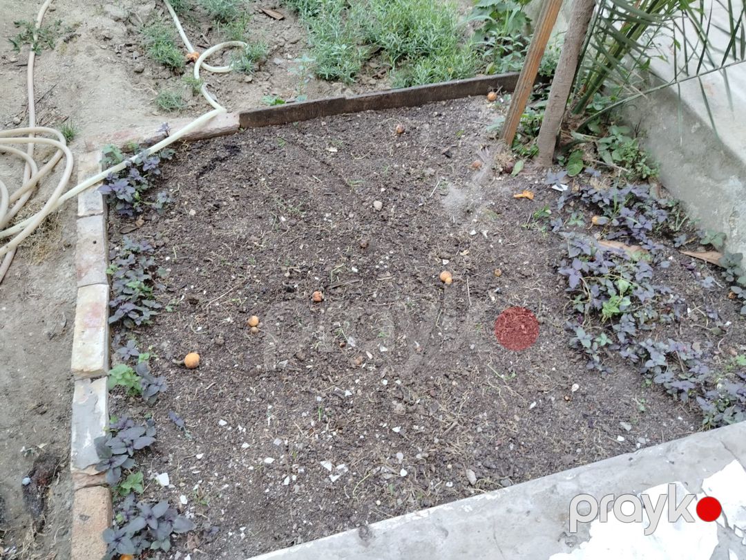 3-otaqlı mənzil, Nizami r., 80 m² — Mənzil, Bakı (12)