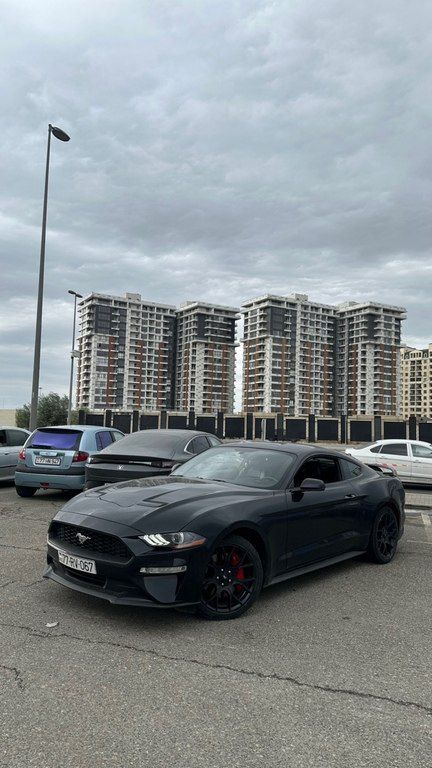 Ford Mustang, 2.3 L, 2019 il, 109 000 km — Avtomobillər, Bakı (3)