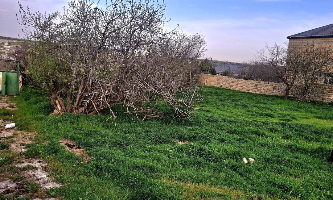 13 sot torpaq sahəsi, Digah qəs — Torpaq, Bakı (4)