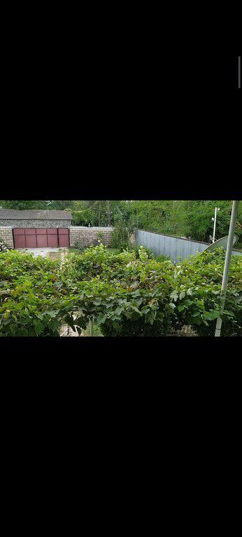 Həyət evi, Balakən r — Ev, villa, Balakən (3)