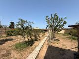 Satılır torpaq 18 sot — Abşeron Bağları — Land plot