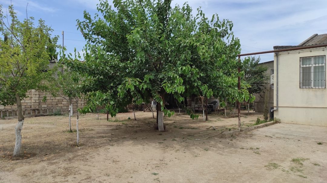 Satılır torpaq 9 sot — Torpaq, Bakı (6)