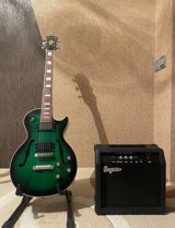 Elektro gitara — Mallar