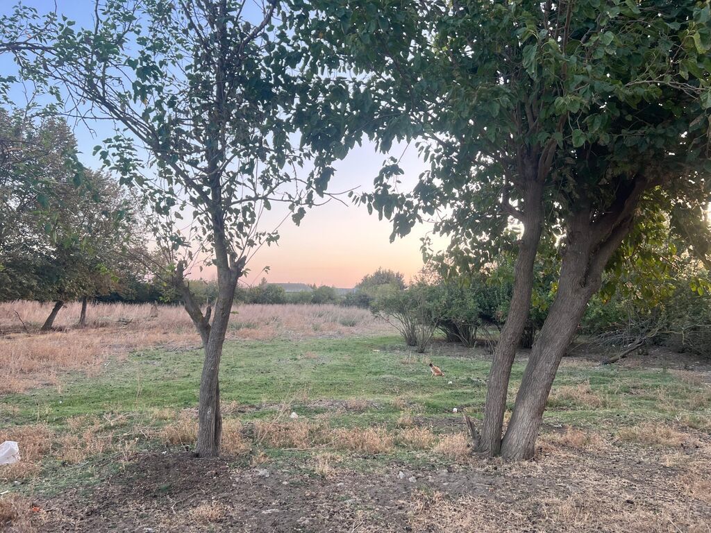Satılır:Bilesuvar rayonu. ismetli kendi. 26 sotyarımçıq tikili — Ev, villa, Biləsuvar (8)