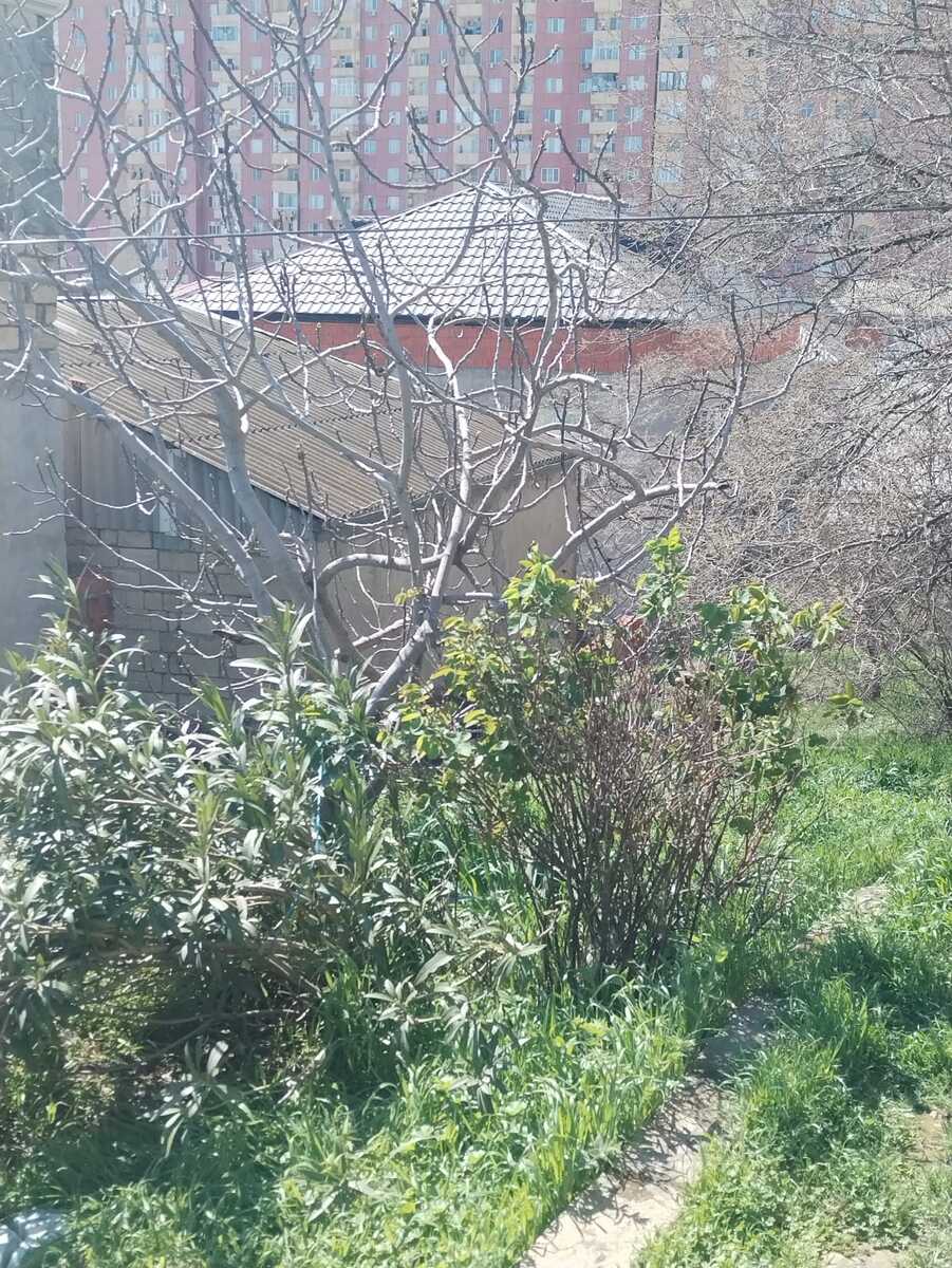 Satılır torpaq 10 sot — Torpaq, Bakı (5)