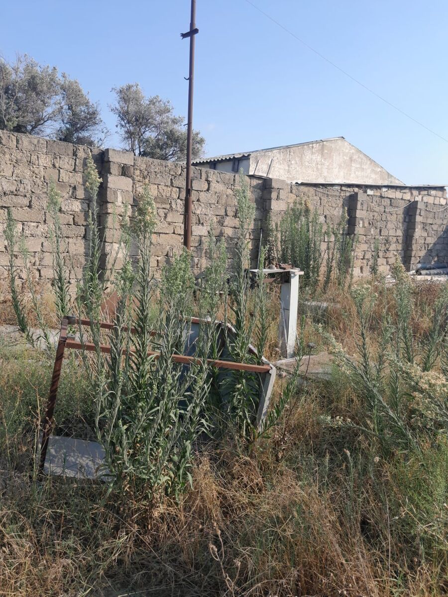Satılır torpaq 17 sot — Torpaq, Bakı (4)