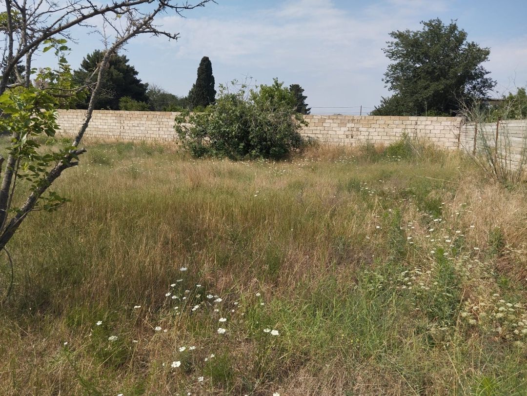 Satılır torpaq 6 sot — Torpaq, Bakı (4)