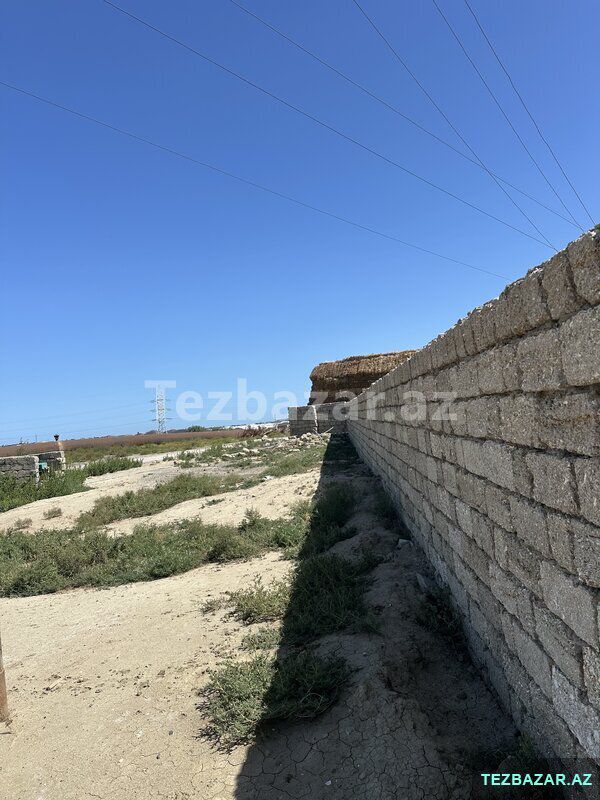 4-hektar Torpaq — Torpaq, Bakı (3)
