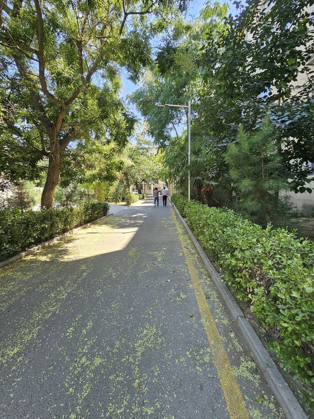 Satılır 3 otaqlı köhnə tikili 75 m² — Mənzil, Bakı (9)