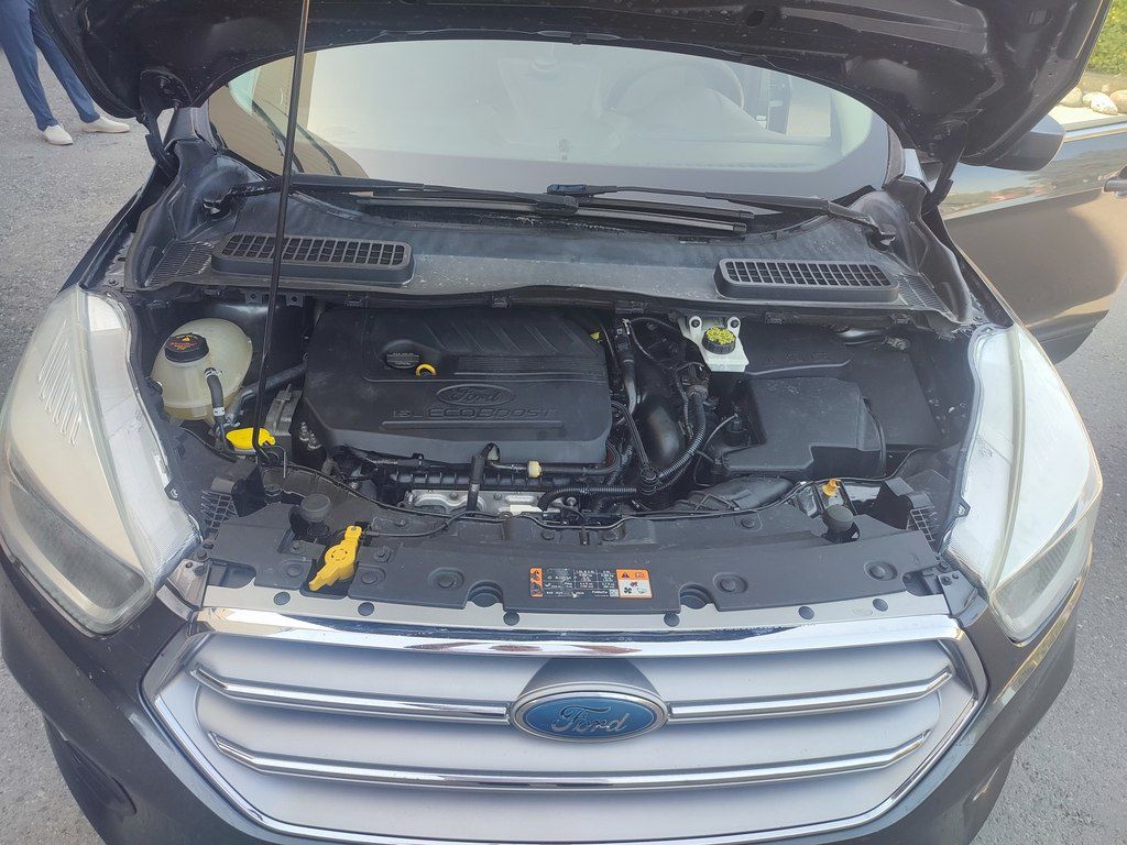 Ford Escape, 1.5 L, 2017 il, 171 000 km — Avtomobillər, Bakı (4)