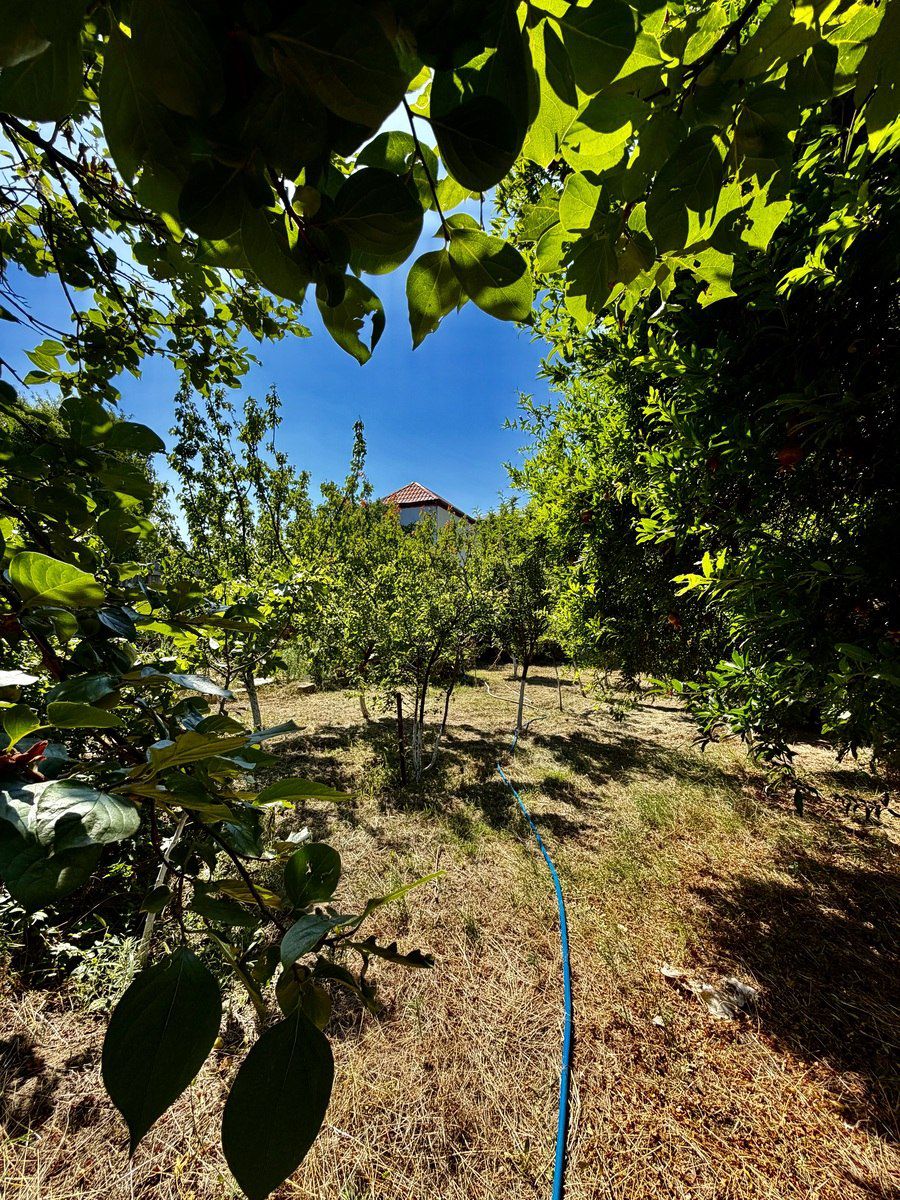 Satılır 7 otaqlı həyət evi/bağ evi 400 m² — Ev, villa, Bakı (9)