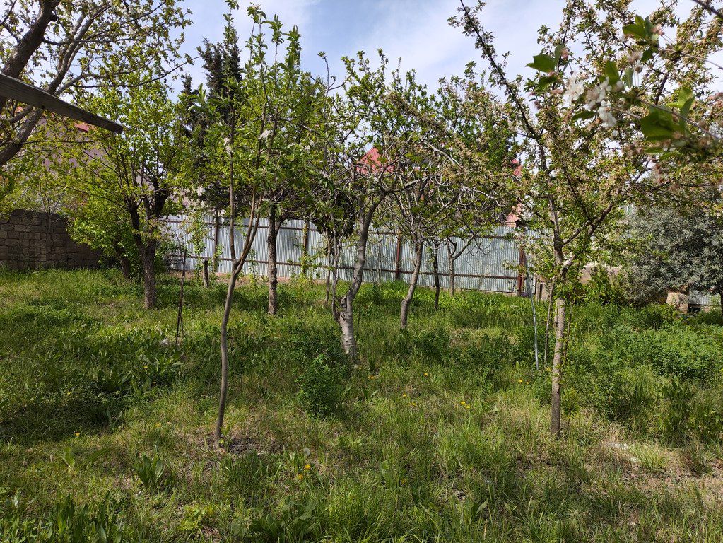 Həyət evi, Masazır qəs — Ev, villa, Bakı (12)