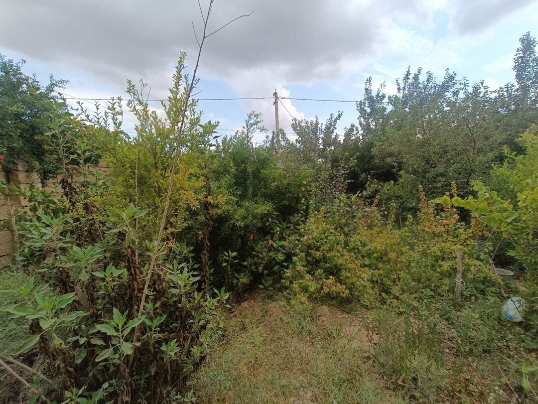 4 sot torpaq sahəsi, Binəqədi r — Torpaq, Bakı (4)