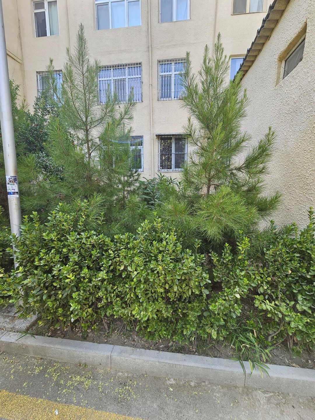 Satılır 3 otaqlı köhnə tikili 75 m² — Mənzil, Bakı (7)