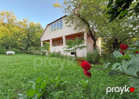 Bağ evi kirayə verilir, Zaqatala ş