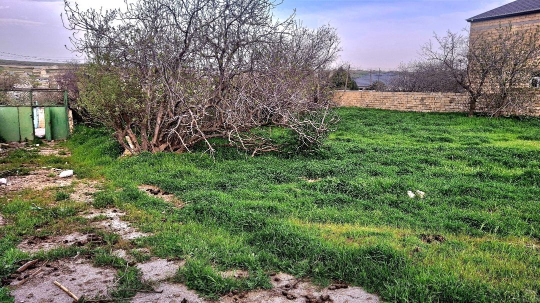 13 sot torpaq sahəsi, Digah qəs — Torpaq, Bakı (8)