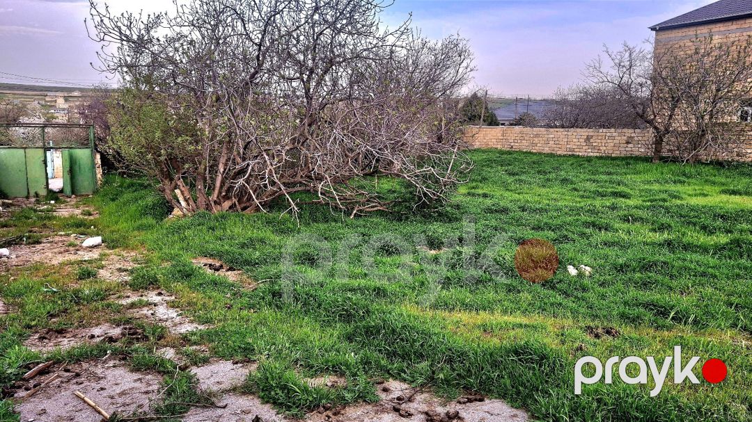 13 sot torpaq sahəsi, Digah qəs — Torpaq, Bakı (8)