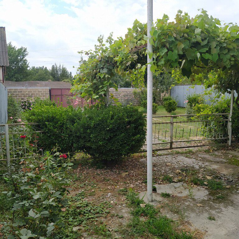 Həyət evi, Balakən r — Ev, villa, Balakən