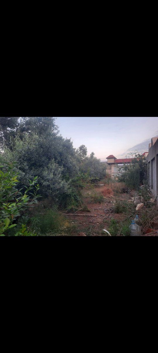 6 sot torpaq sahəsi, Görədil qəs — Torpaq, Bakı (3)