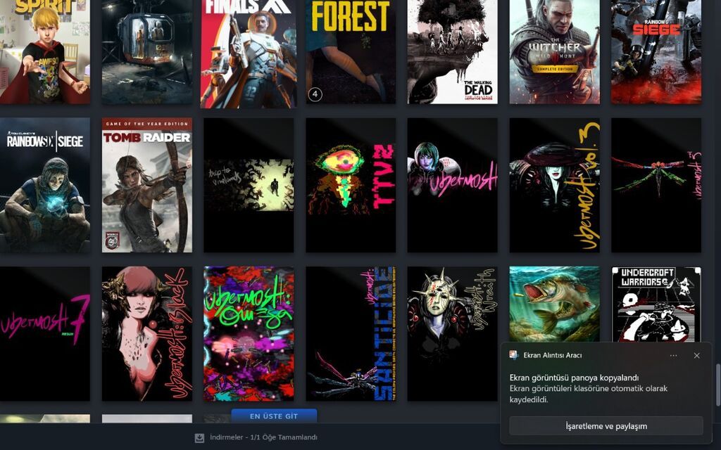 Məhsul: Steam hesabı – geniş oyun kitabxanası Təsvir: - Kitabxanada — Oyunlar, konsollər və proqramlar, Bakı (8)