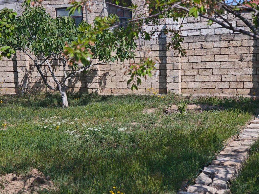 8 sot torpaq sahəsi, Buzovna qəs — Torpaq, Bakı (6)