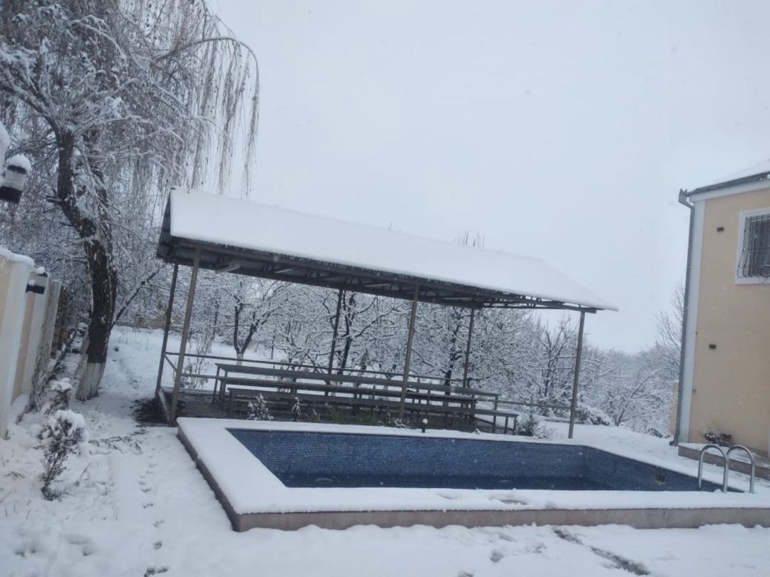Bağ evi kirayə verilir, Quba r — Ev, villa, Quba (10)