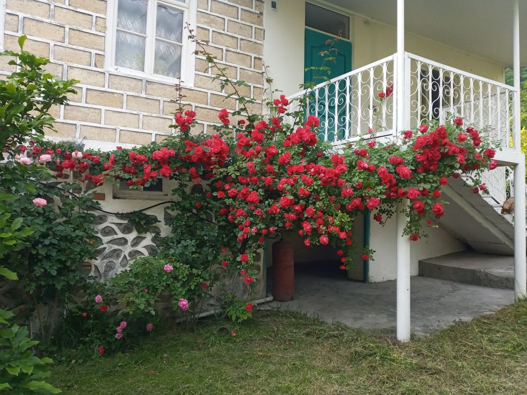 Bağ evi, Zaqatala r — Ev, villa, Zaqatala