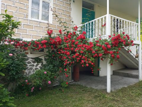 Bağ evi, Zaqatala r — Zaqatala