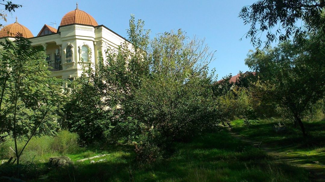 Satılır torpaq 18 sot — Torpaq, Bakı (4)
