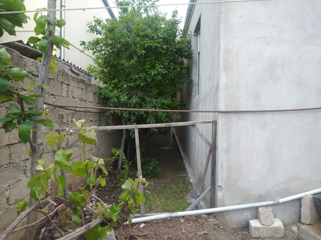 3 otaqlı, 110 kv. m, Kredit yoxdur, Yeni təmirli — Ev, villa, Digah (5)