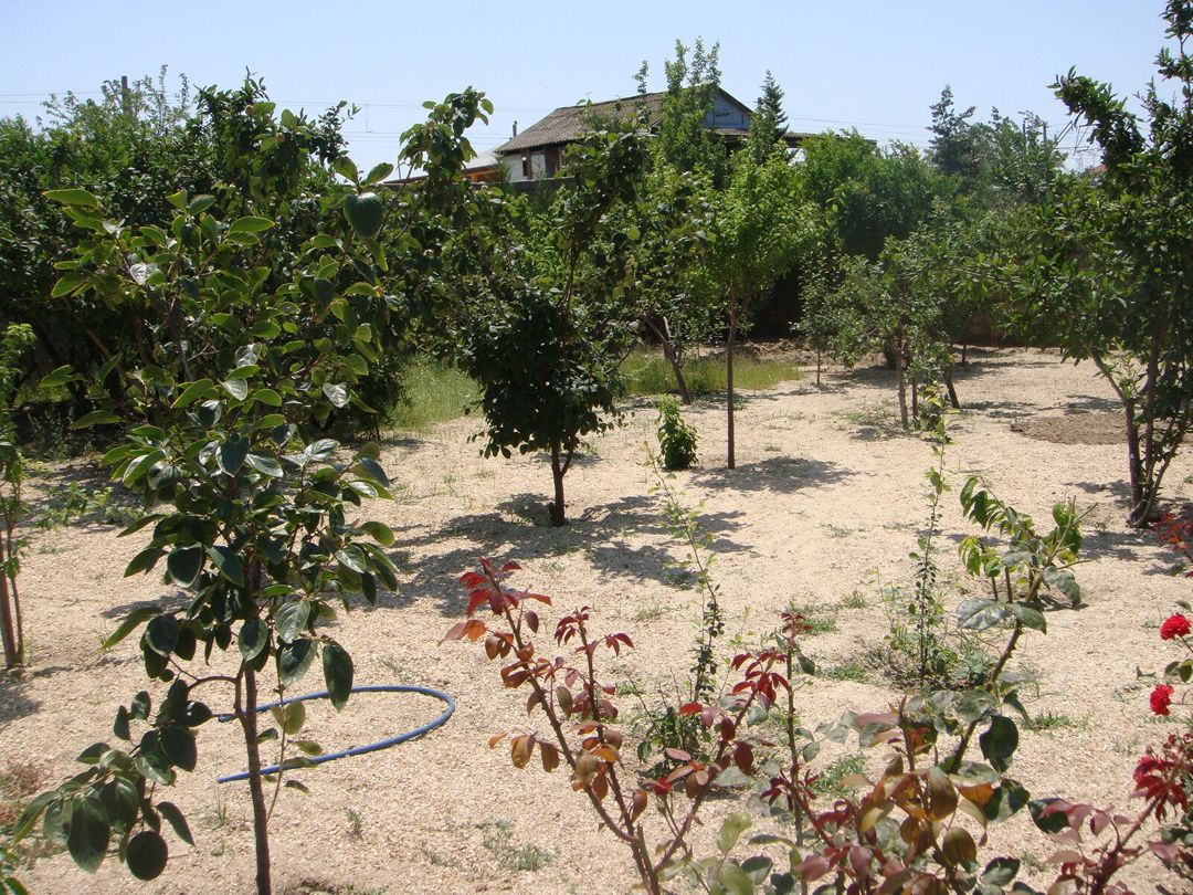 Satılır 3 otaqlı həyət evi/bağ evi 122.1 m² — Ev, villa, Sumqayıt (5)