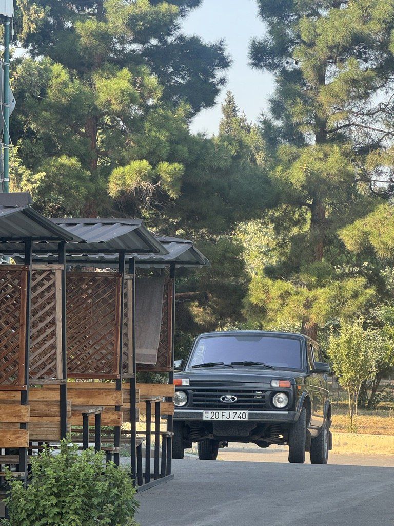 Lada (VAZ) Niva, 1.7 L, 2018 il, 111 000 km — Avtomobillər, Gəncə (5)