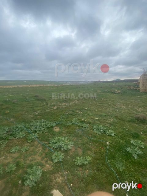 Satılır torpaq, Novxanı qəs