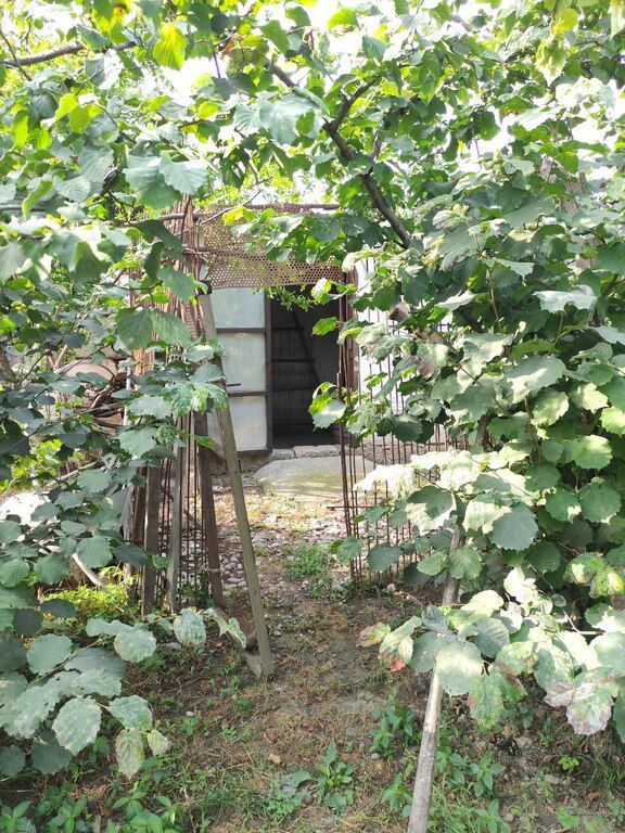 Həyət evi, Xaçmaz r — Ev, villa, Xaçmaz (12)