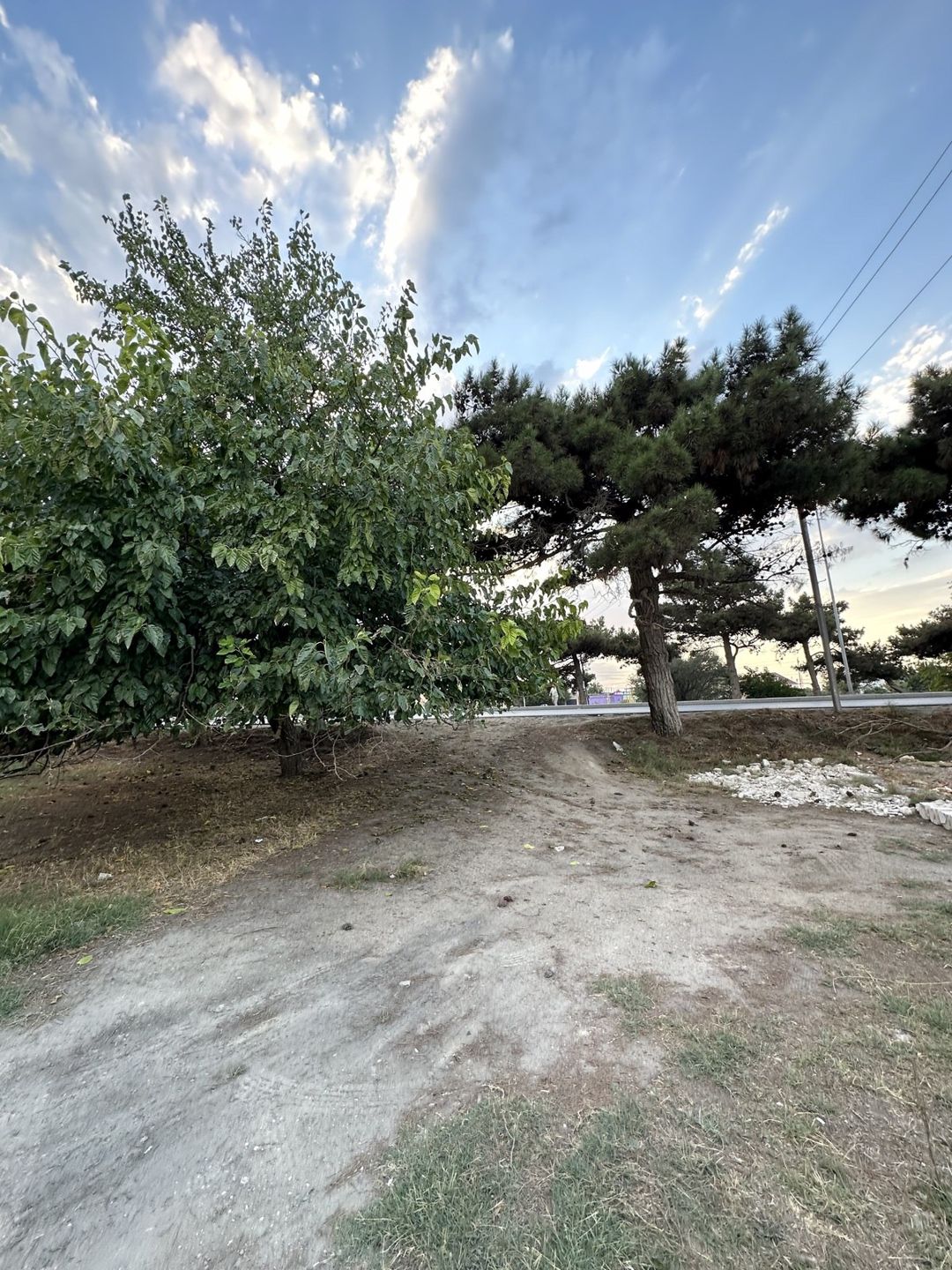 10 sot torpaq sahəsi, Maştağa qəs — Torpaq, Bakı (5)