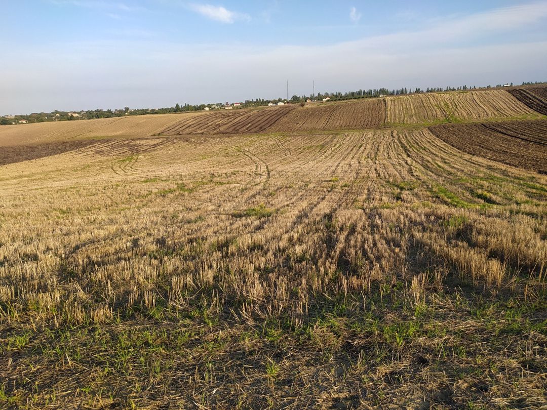 3.64 sot torpaq sahəsi, Qusar r — Torpaq, Qusar (2)