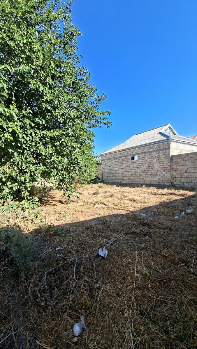 Bağ evi, Şirvan ş — Ev, villa, Şirvan (2)