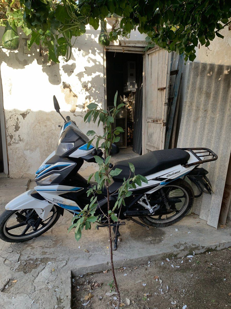Tufan CUB 50S, 2024 il — Motosiklet və mopedlər, Bakı (3)