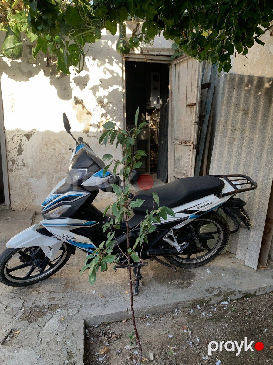 Tufan CUB 50S, 2024 il — Motosiklet və mopedlər, Bakı (3)