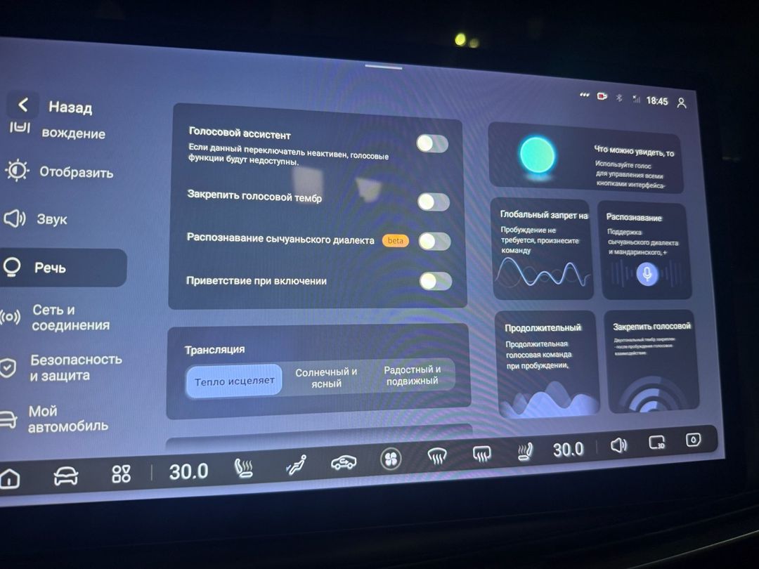 Changan Deepal S07 Deepal SL03 rus dili və proqram yazılması — Avtoxidmət və diaqnostika, Bakı (11)